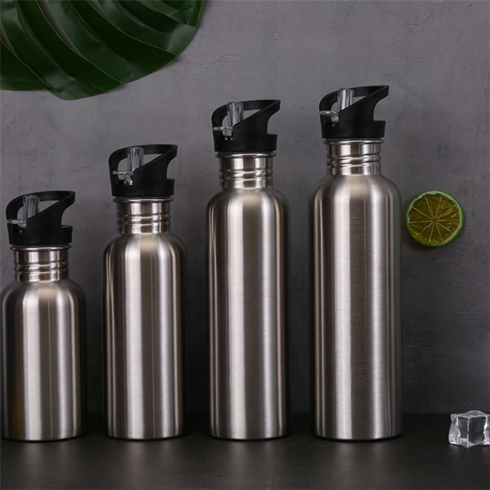 BPA Free Brushed Metal Silver 500 ml 750ml Stainless Steel Water Bottle