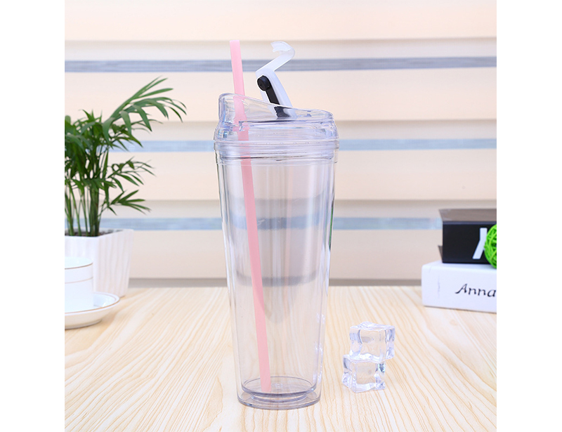 BPA Free Double Wall Clear Acrylic Plastic Skinny Tumbler with Straw Lid and Straw