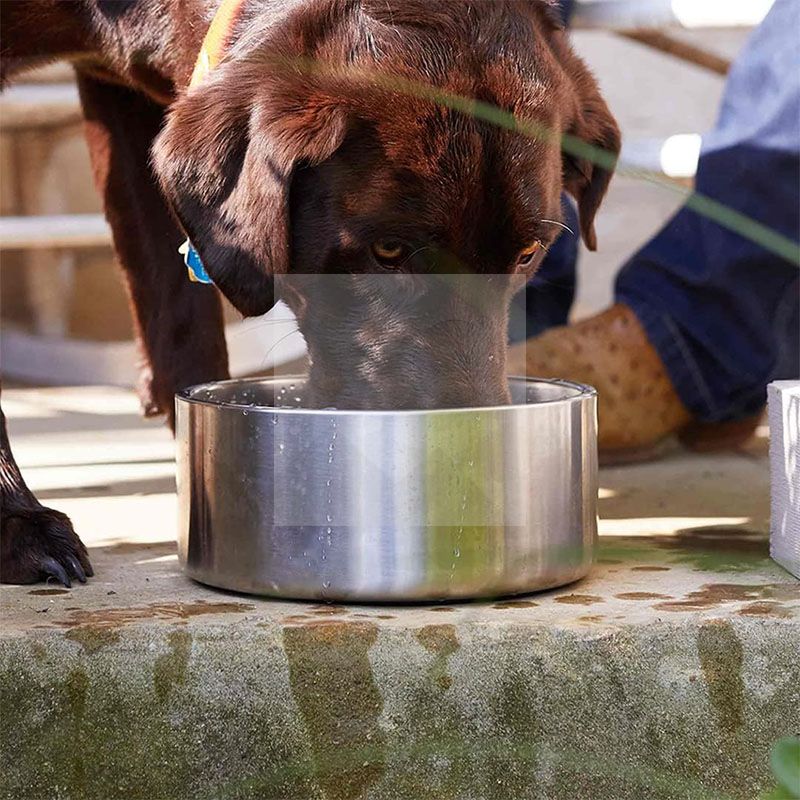 Stainless Steel Dog Bowls, Nonslip Rubber Bottom No Spill Proof Skid Metal Insulated Dog Bowls for Large Medium Small Breed Dogs