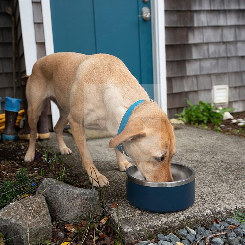 Dog Bowl - 64oz Insulated Dog Food Water Bowl Non Slip, Double Wall Stainless Steel Dog Bowls Large for Medium Large Breeds, Indoor Outdoor Metal Dog Bowl, Durable Pet Dish for Puppy Dogs Cats