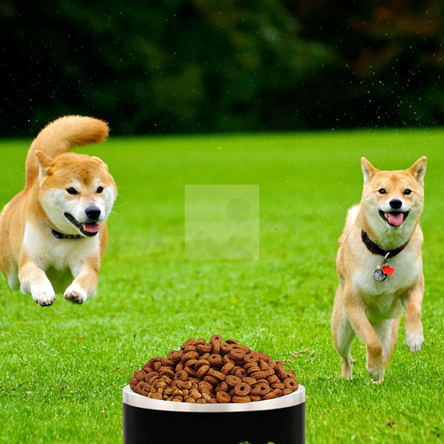 100 oz Heavy Duty Insulated Stainless Steel Dog Bowl for Large Dogs, Non-Slip Base, Dishwasher Safe