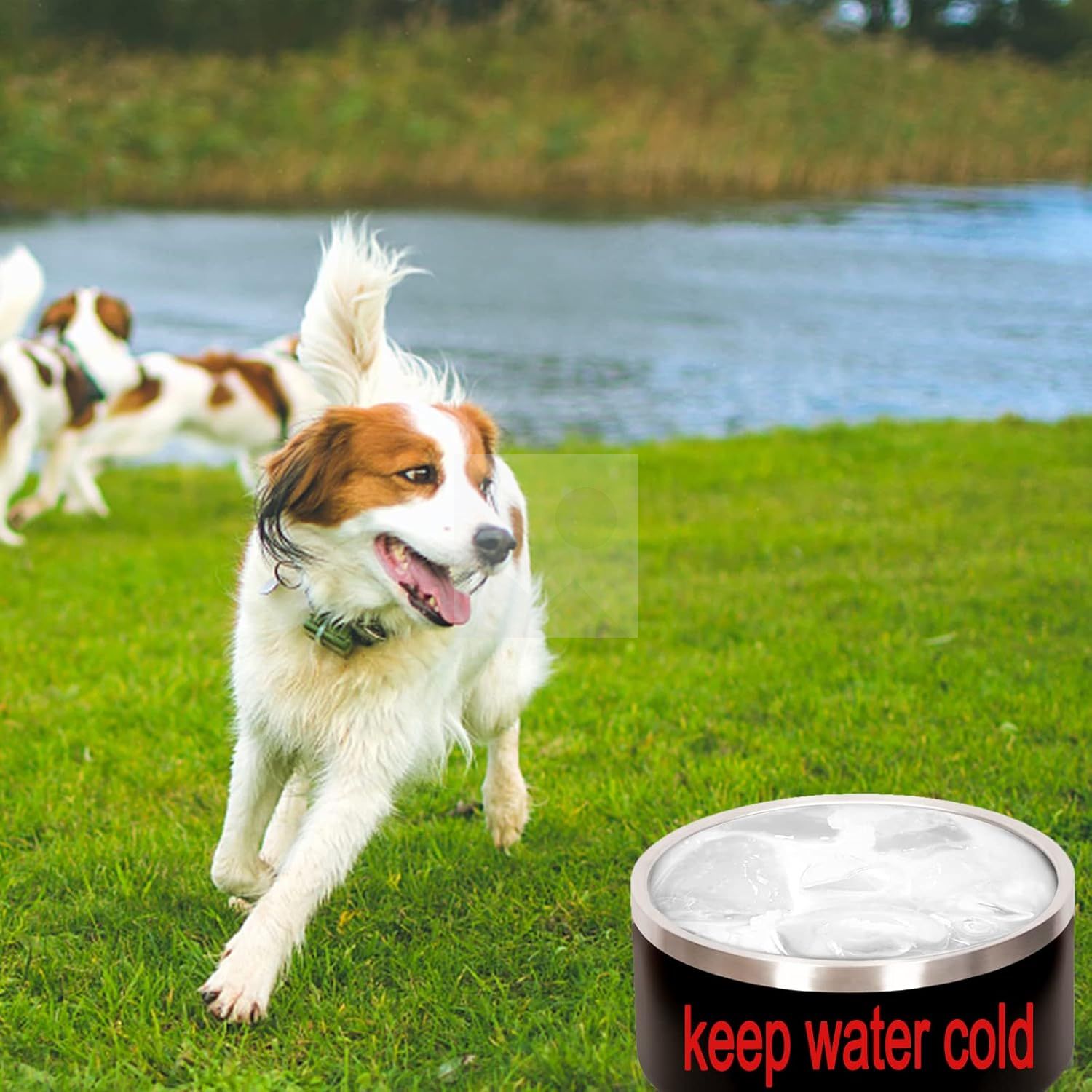 100 oz Heavy Duty Insulated Stainless Steel Dog Bowl for Large Dogs, Non-Slip Base, Dishwasher Safe