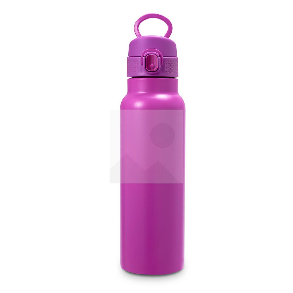Food grade 25 oz double-walled stainless steel reusable milk and coffee bottle thermos and water cup