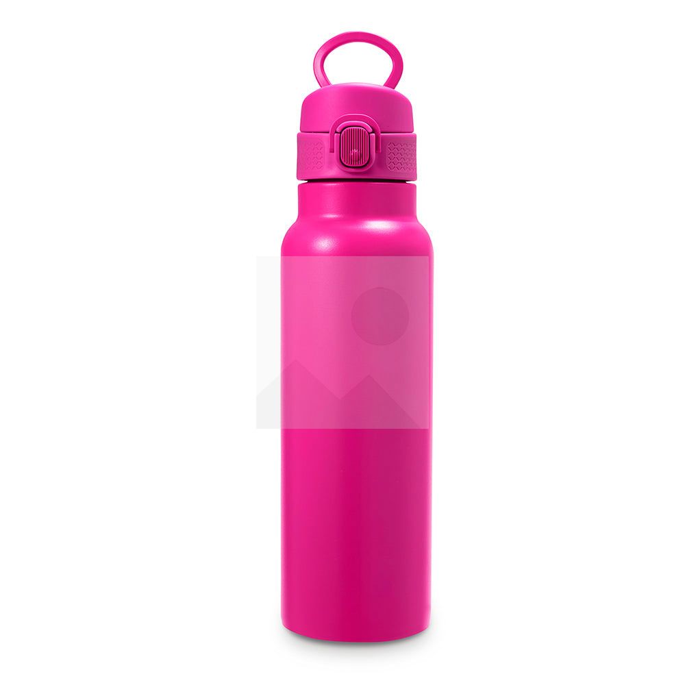 Food grade 25 oz double-walled stainless steel reusable milk and coffee bottle thermos and water cup