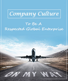 Company Culture